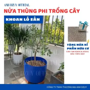 Thùng Phi 220L Cắt Đôi Trồng Cây Sân Thượng Có Khoan Lỗ Thoát Nước Dày Dặn