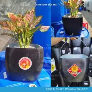 Thùng Trồng Cây Sân Thượng 30x30x29 Có Khoan Lỗ Sẵn HDPE Dày Dặn Chịu Va Đập